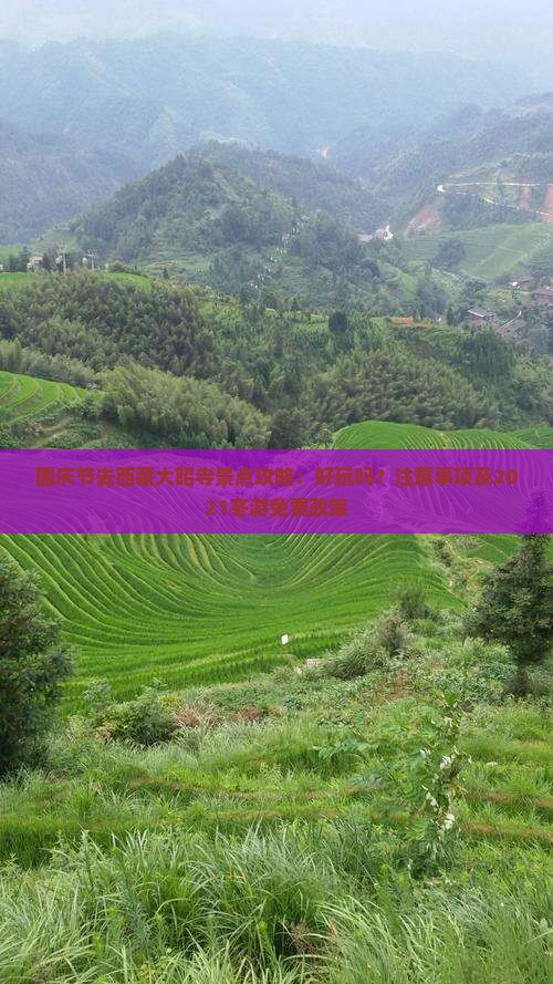 国庆节去西藏大昭寺景点