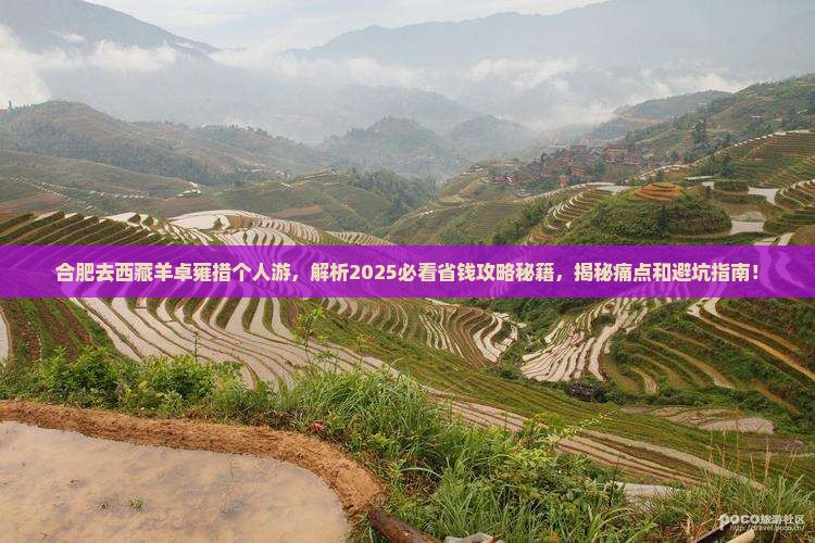 合肥去西藏羊卓雍措个人游