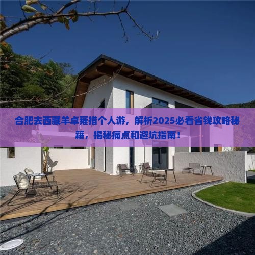 合肥去西藏羊卓雍措个人游