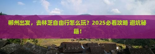 郴州到西藏林芝自由行