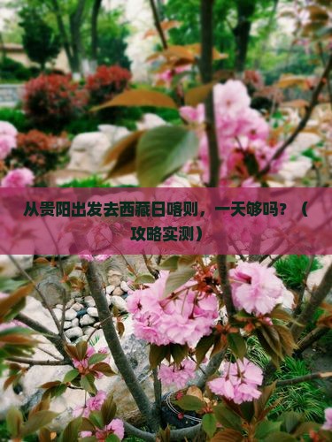 黔南去西藏日喀则一日