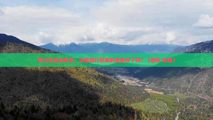 阳江去西藏林芝旅行社