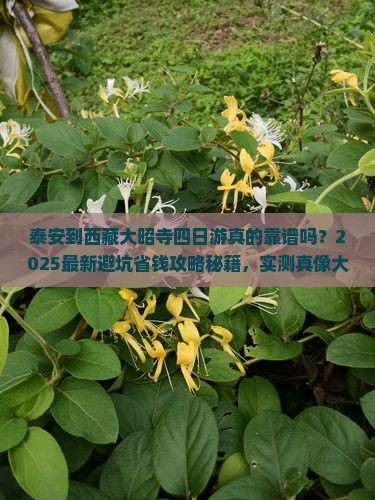 泰安到西藏大昭寺四日游