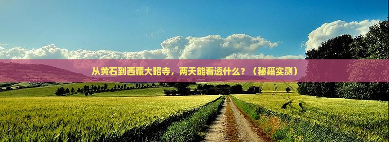 黄石到西藏大昭寺二日游