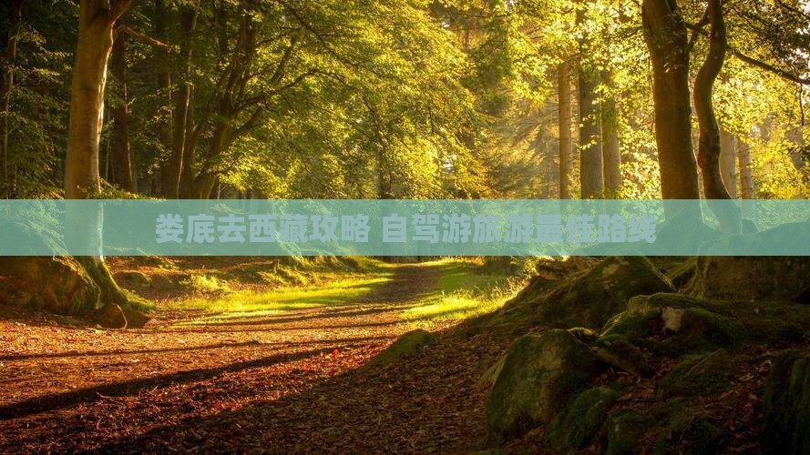 娄底去西藏攻略
