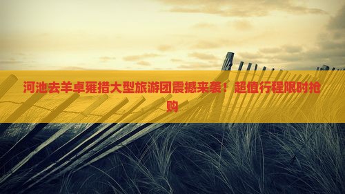 河池去西藏羊卓雍措大型旅游团