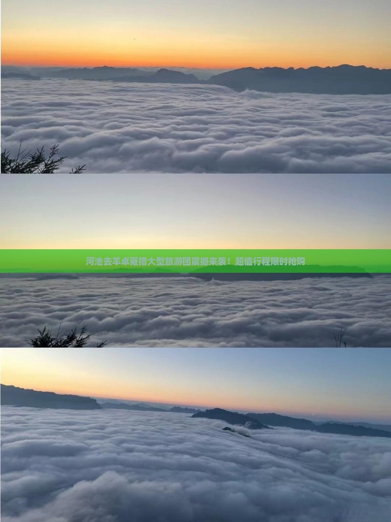 河池去西藏羊卓雍措大型旅游团