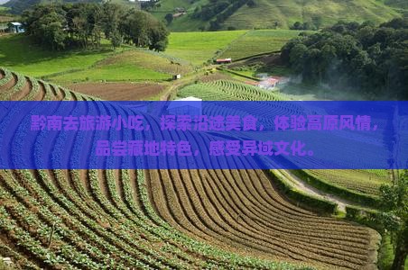 黔南去西藏旅游小吃