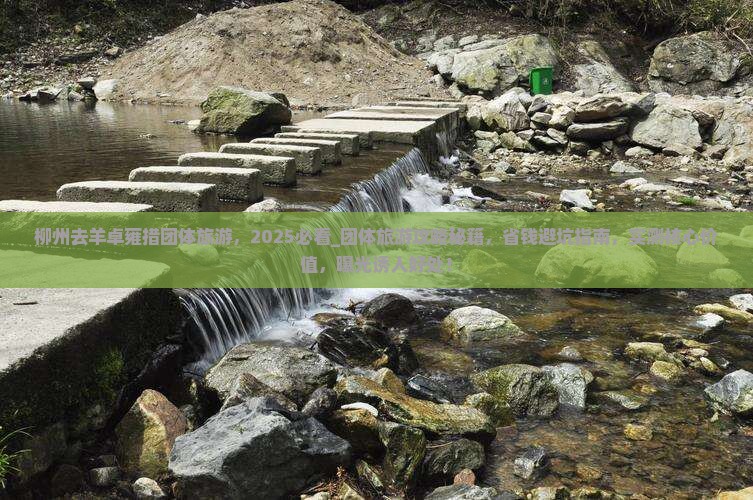 柳州去西藏羊卓雍措团体旅游