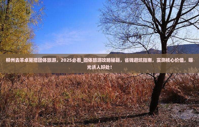 柳州去西藏羊卓雍措团体旅游