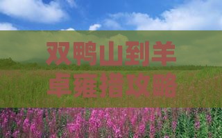 双鸭山到西藏羊卓雍措攻略 双鸭山到西藏羊卓雍措攻略
