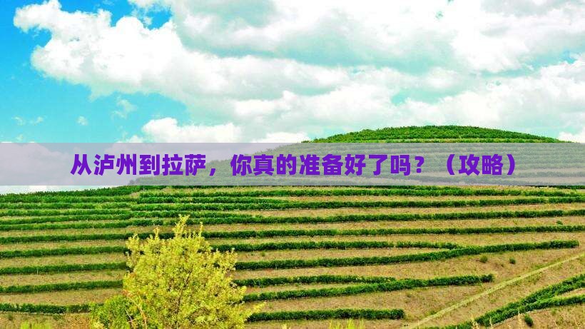 泸州去西藏拉萨旅游