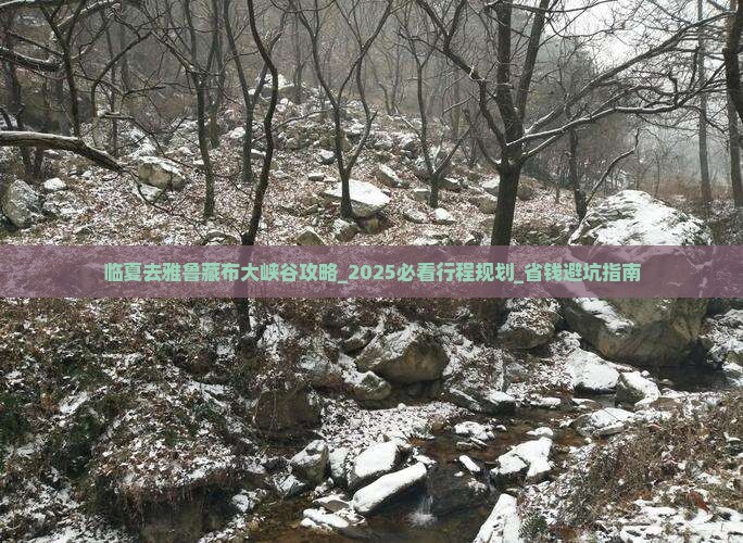 临夏去西藏雅鲁藏布大峡谷攻略