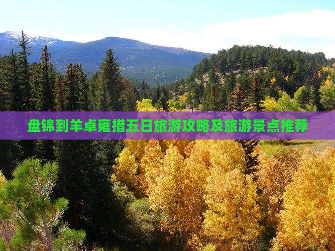 盘锦到西藏羊卓雍措五日游