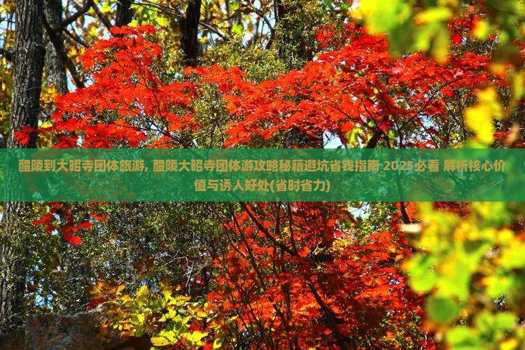 醴陵到西藏大昭寺团体旅游