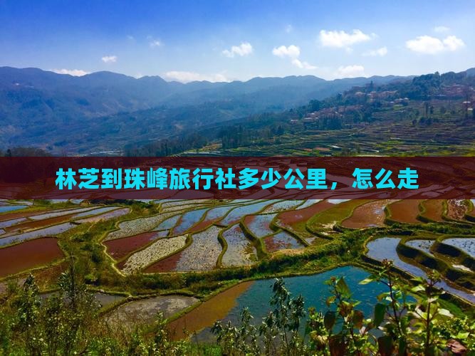 林芝到西藏珠峰大本营旅行社