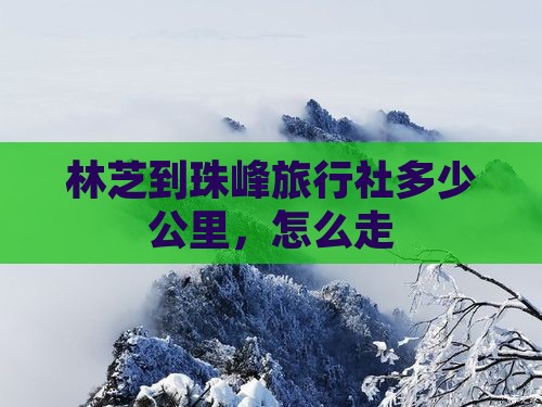 林芝到西藏珠峰大本营旅行社