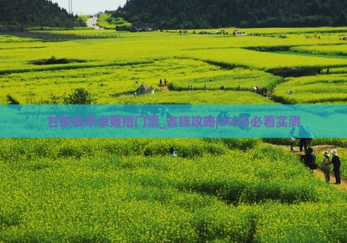 甘孜去西藏羊卓雍措门票
