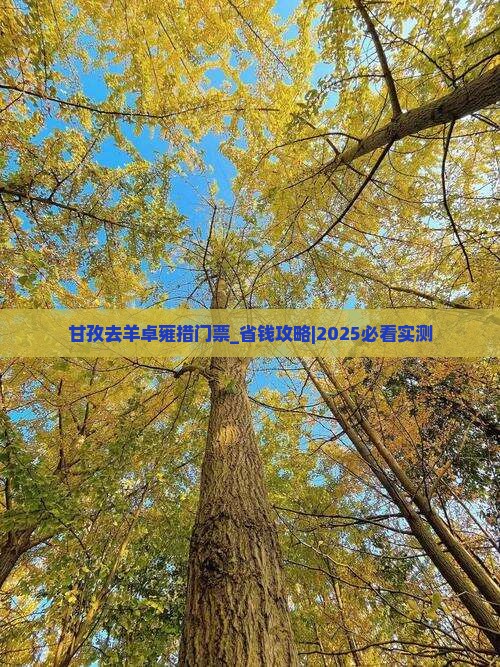 甘孜去西藏羊卓雍措门票