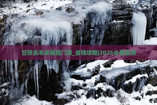 甘孜去西藏羊卓雍措门票