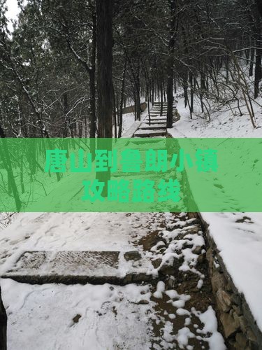 唐山到西藏鲁朗小镇攻略