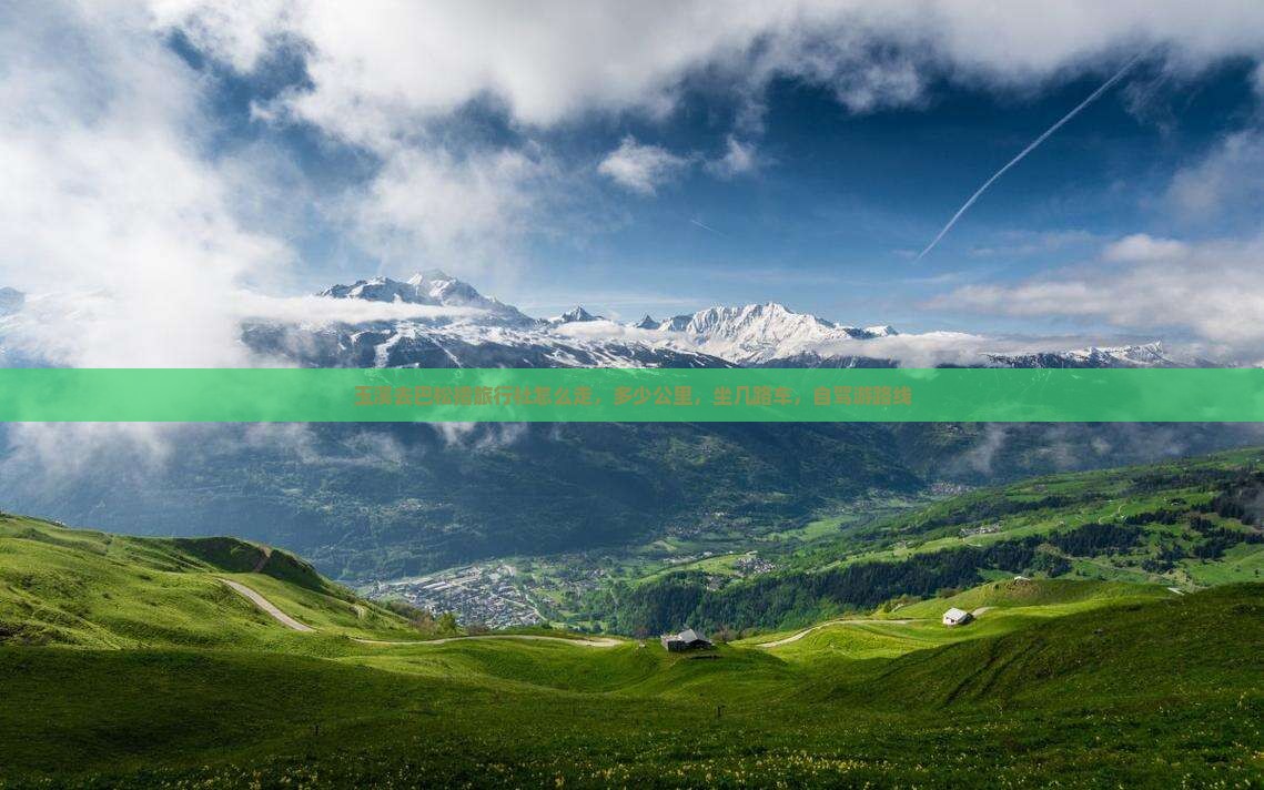 玉溪去西藏巴松措旅行社