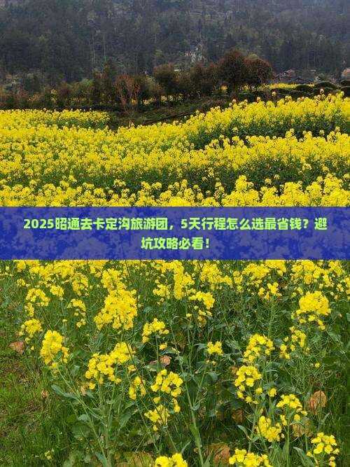 昭通去西藏卡定沟大型旅游团