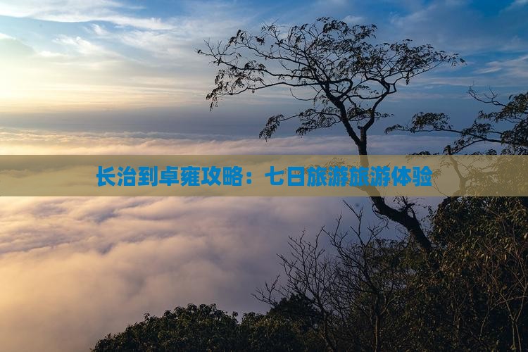 长治到西藏羊卓雍措七日游