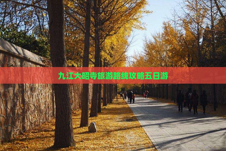 九江去西藏大昭寺五日游