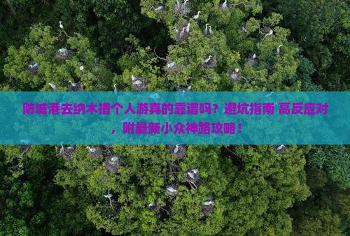 防城港去西藏纳木措个人游