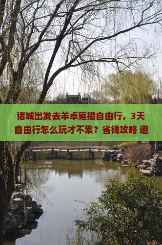 诸城去西藏羊卓雍措自由行