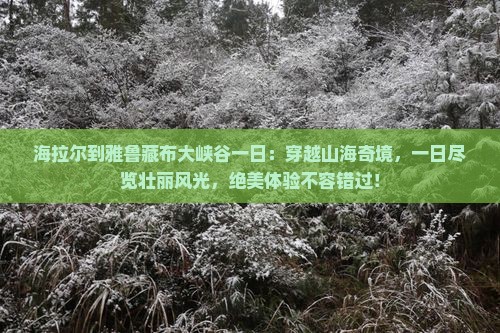 海拉尔到西藏雅鲁藏布大峡谷一日