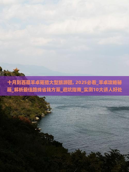 十月到西藏羊卓雍措大型旅游团