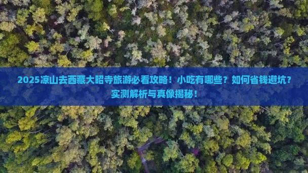 凉山去西藏大昭寺旅游小吃