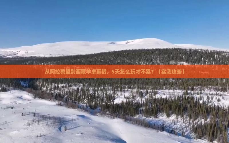 阿拉善盟到西藏羊卓雍措旅游