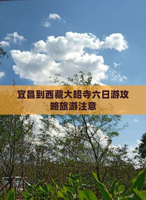 宜昌到西藏大昭寺六日游
