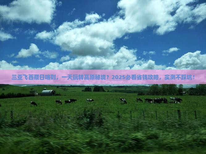 三亚到西藏日喀则一日
