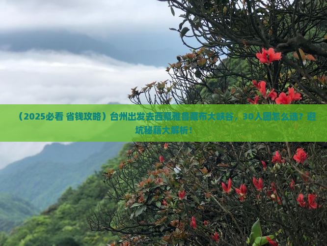 台州到西藏雅鲁藏布大峡谷大型旅游团