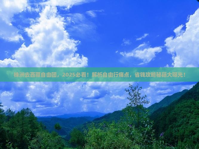 株洲去西藏自由团