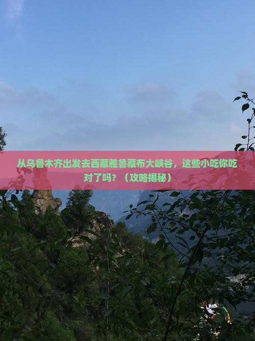 乌鲁木齐去西藏雅鲁藏布大峡谷旅游小吃
