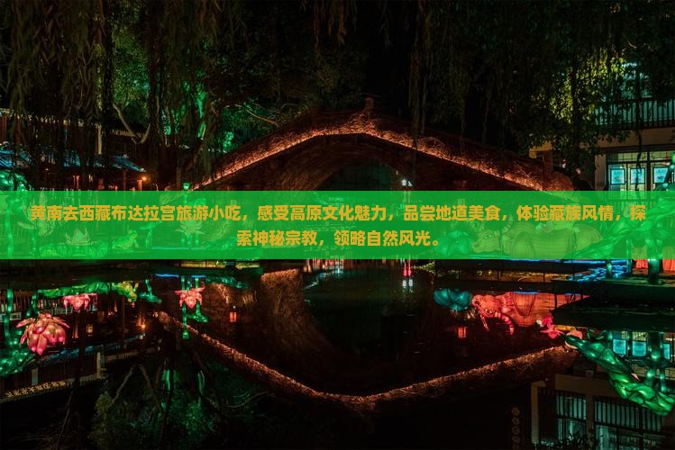 黄南去西藏布达拉宫旅游小吃