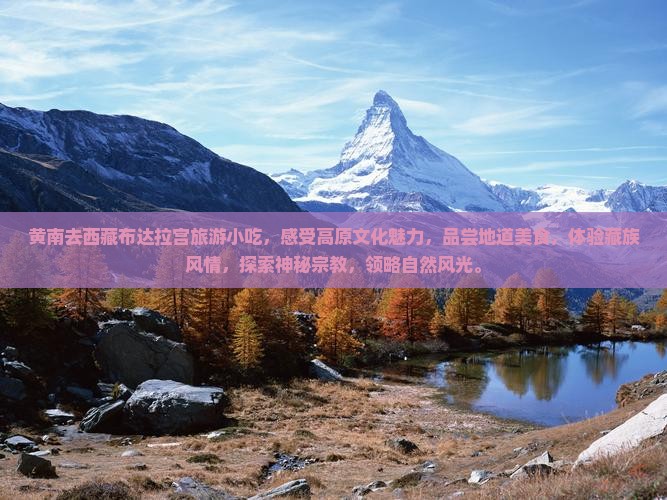 黄南去西藏布达拉宫旅游小吃