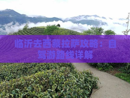 临沂去西藏拉萨攻略