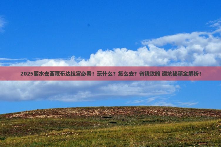 丽水去西藏布达拉宫哪里玩
