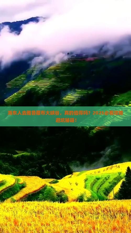 海东去西藏雅鲁藏布大峡谷必去地
