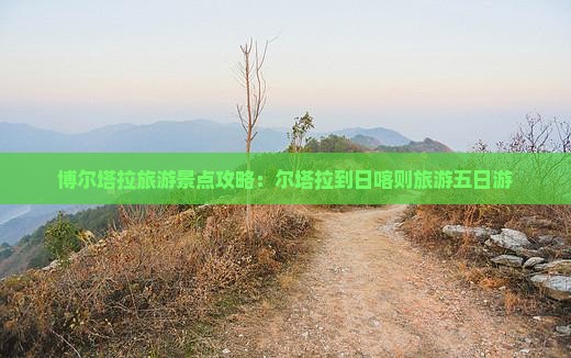 博尔塔拉到西藏日喀则五日游
