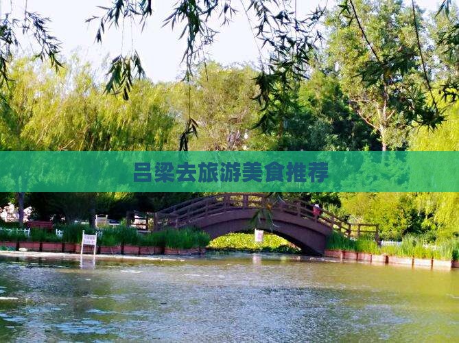 吕梁去西藏旅游小吃