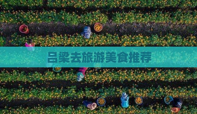 吕梁去西藏旅游小吃