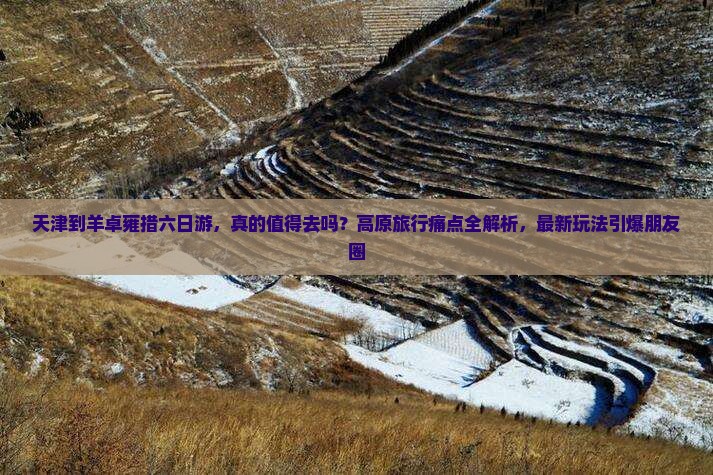 天津到西藏羊卓雍措六日游