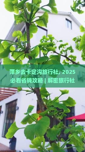 萍乡去西藏卡定沟旅行社